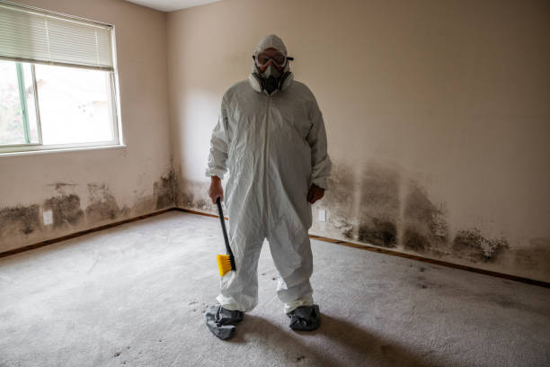 Mold Remediation for Vacation Homes in Collinsville, VA